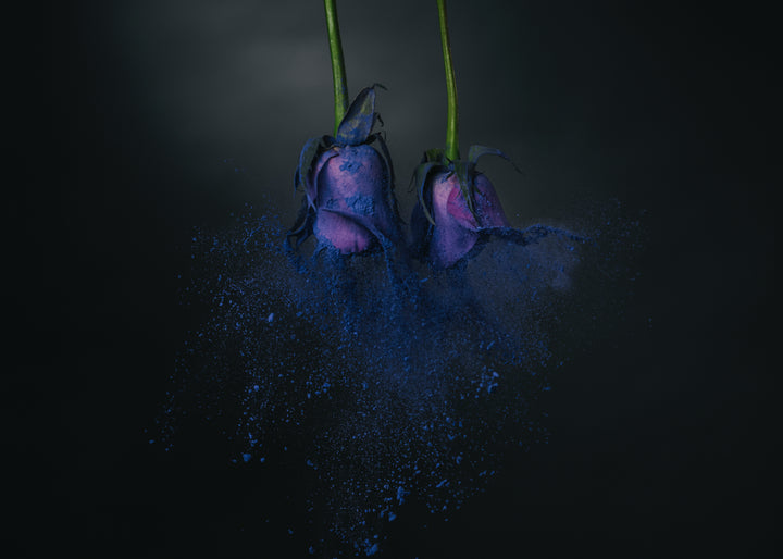 Danza floral