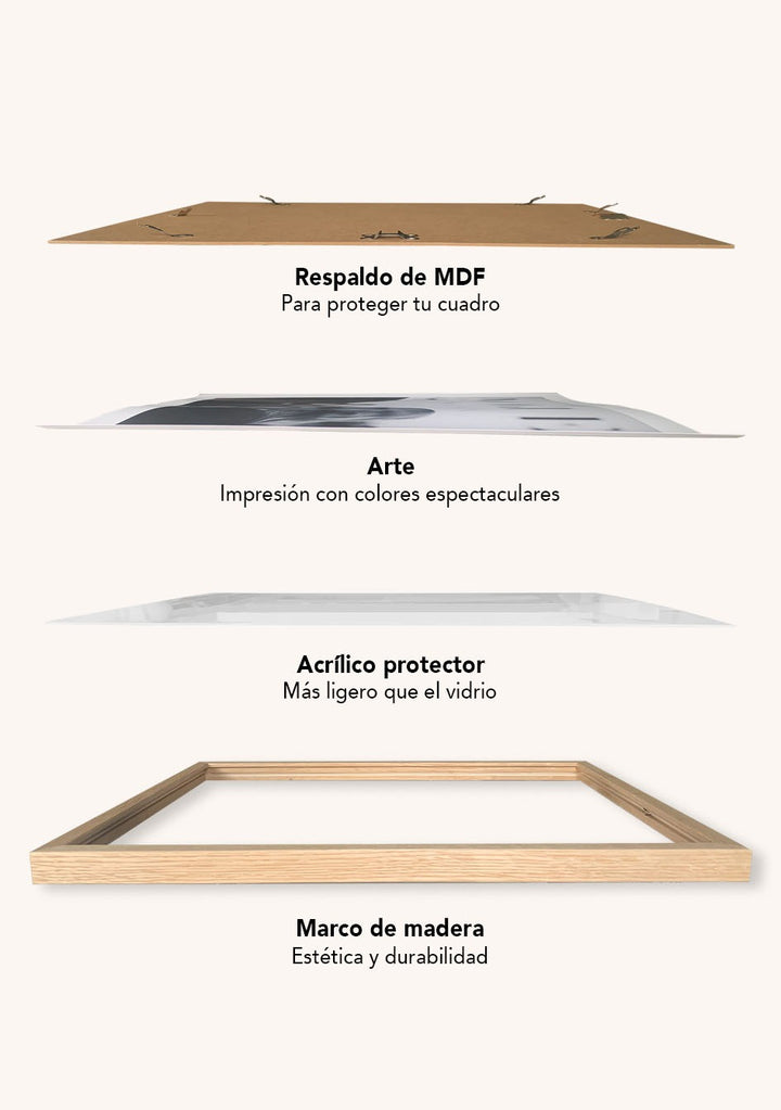 LINEAL PROFILE