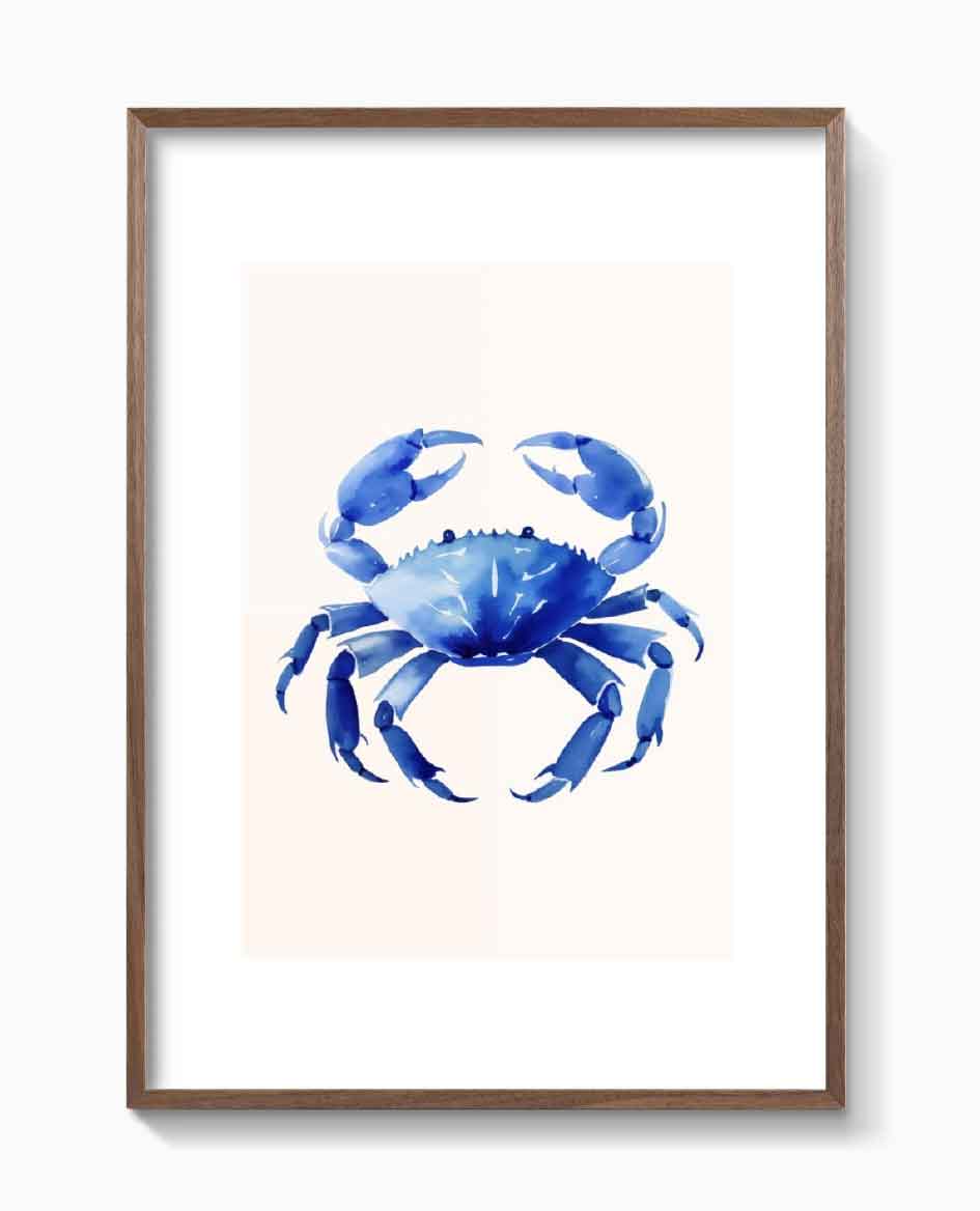 CANGREJO AZUL