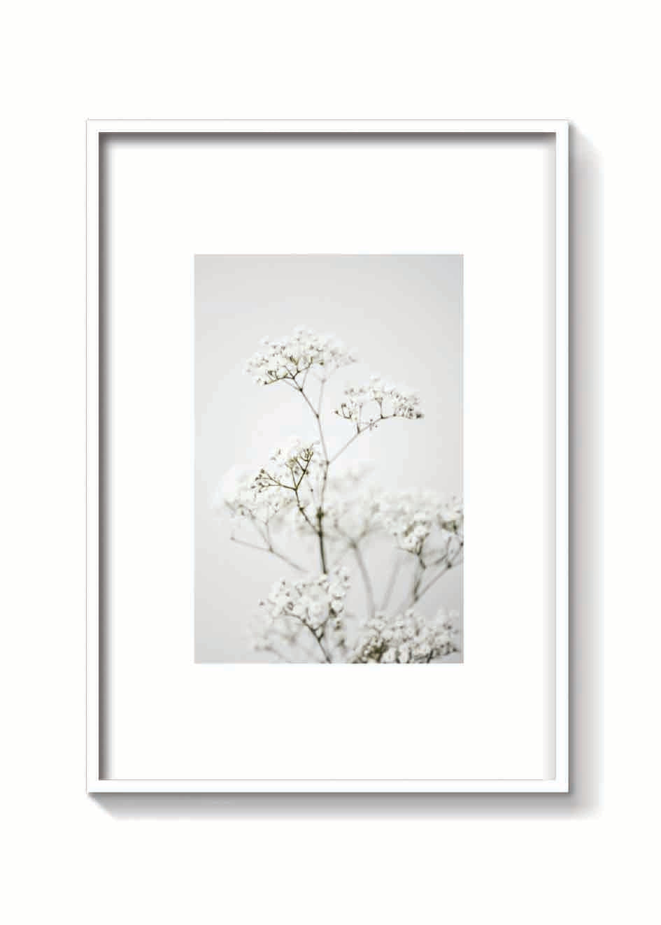CLOUD FLOWER