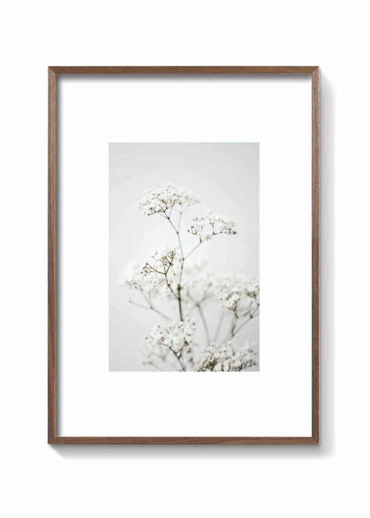 CLOUD FLOWER