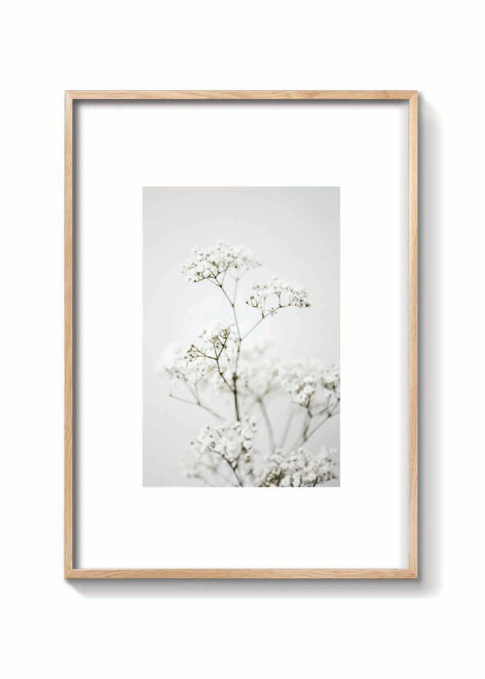 CLOUD FLOWER