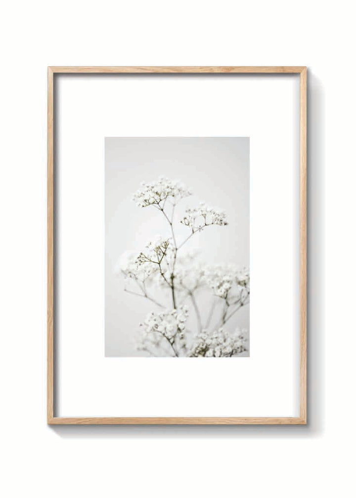 CLOUD FLOWER