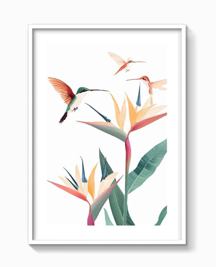 COLIBRÍES TROPICALES