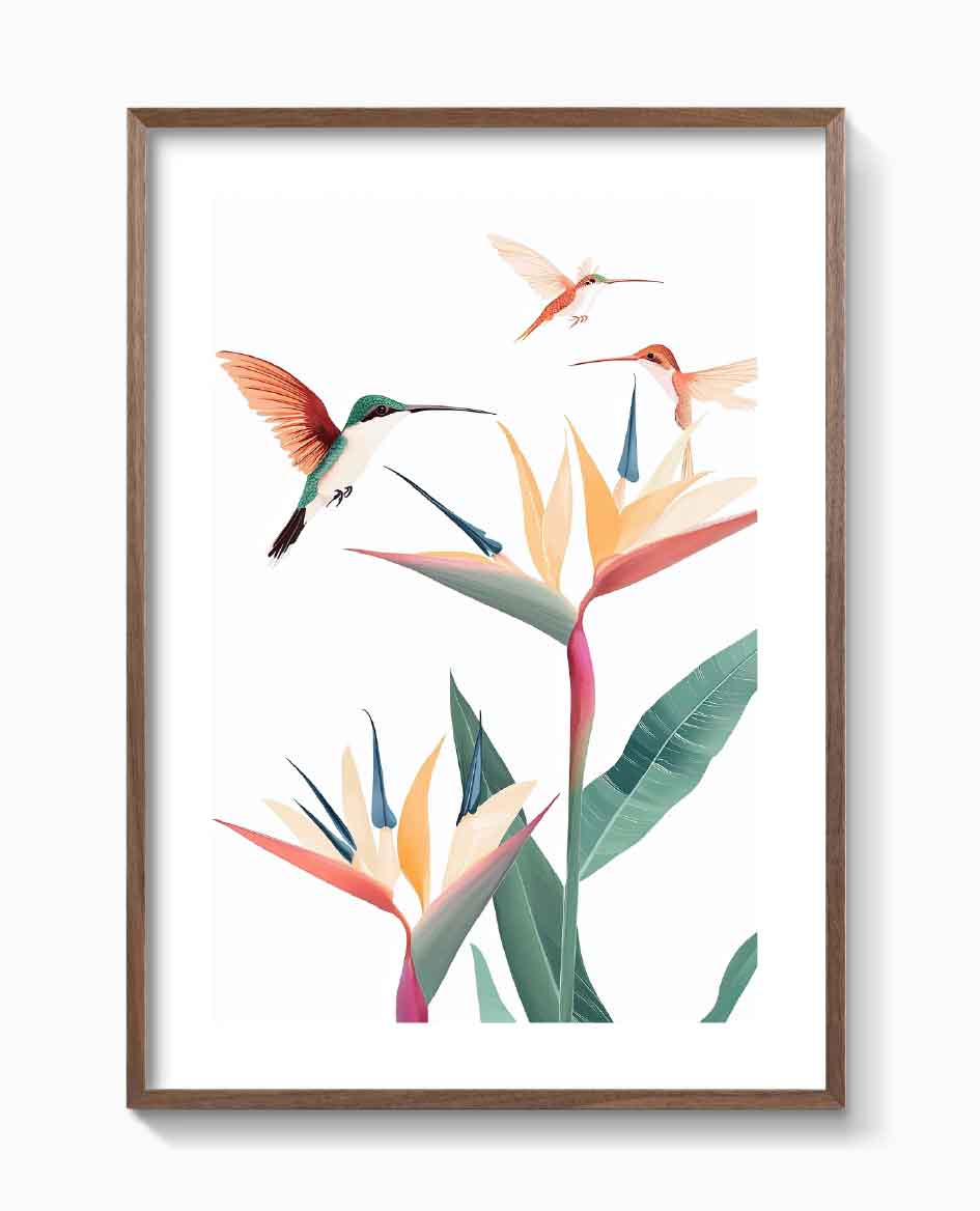 COLIBRÍES TROPICALES