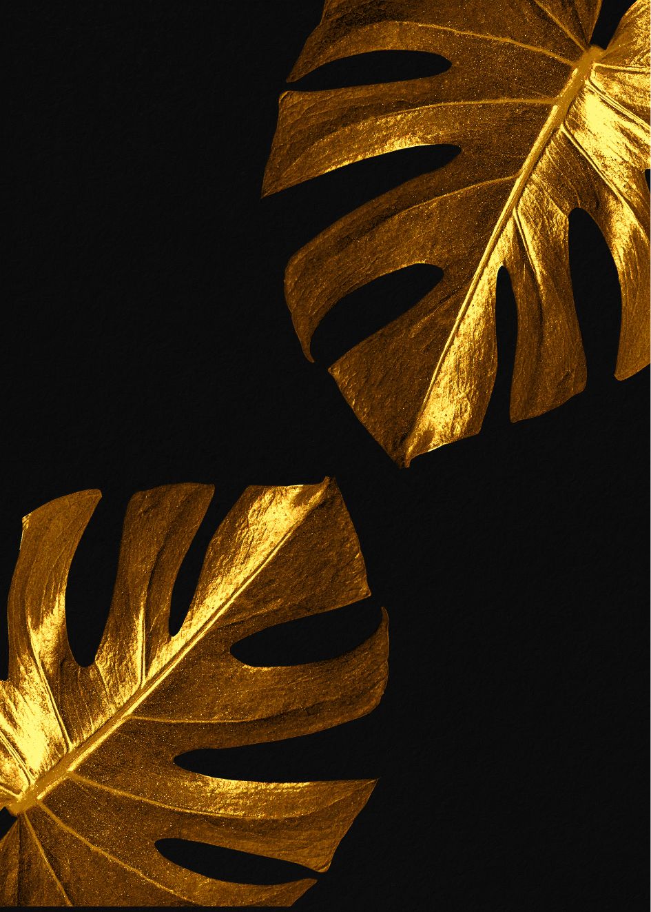 Cuadro-GOLD LEAFS-Studio Malek