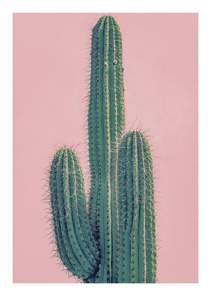 Cuadro-PINK CACTUS-Studio Malek