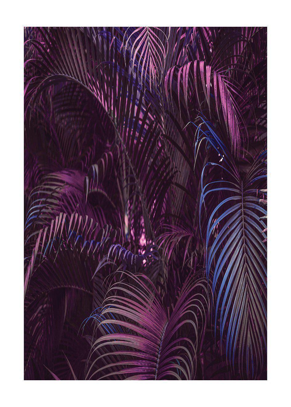 Cuadro-VELVET PALM-Studio Malek