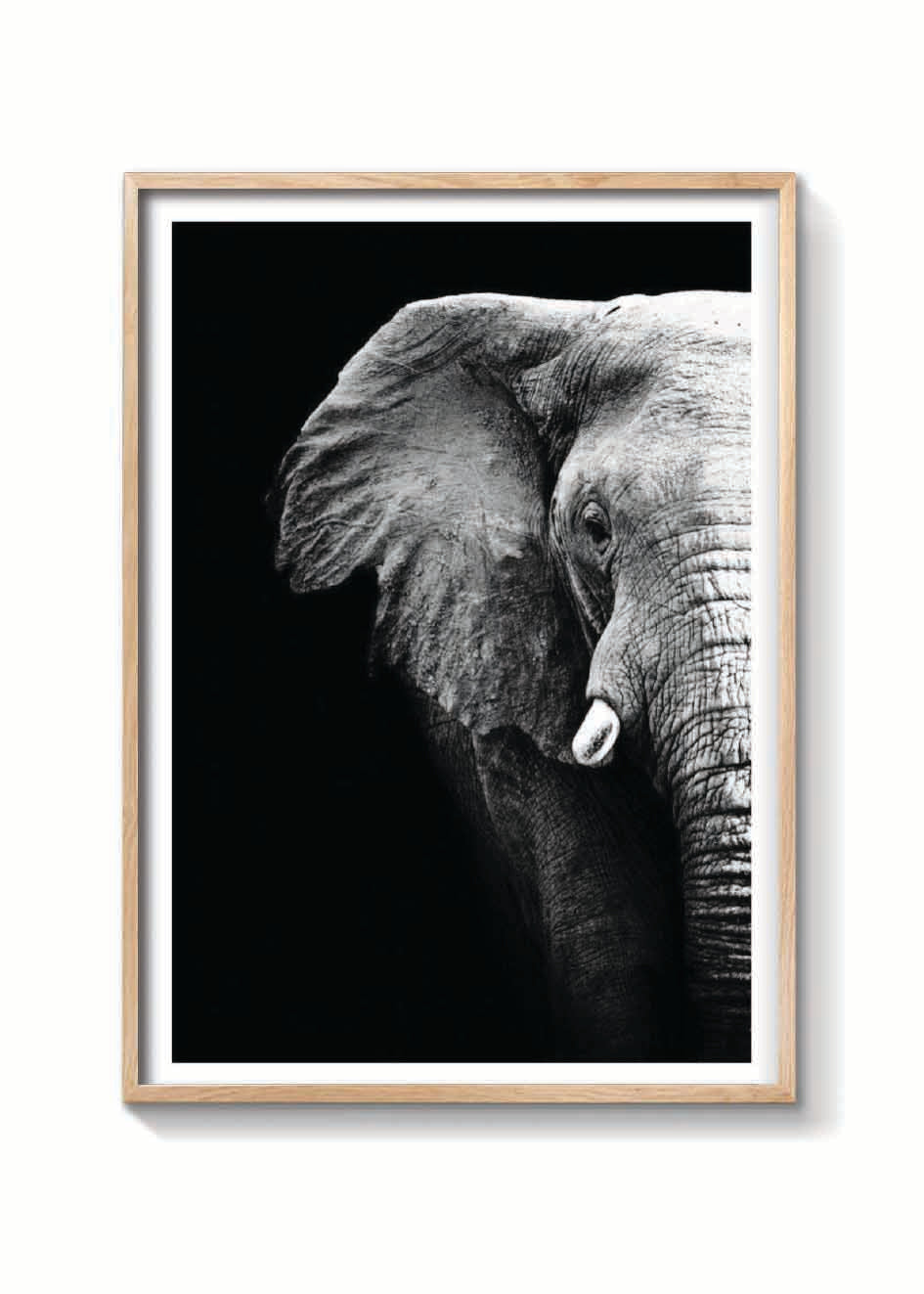 ELEFANTE