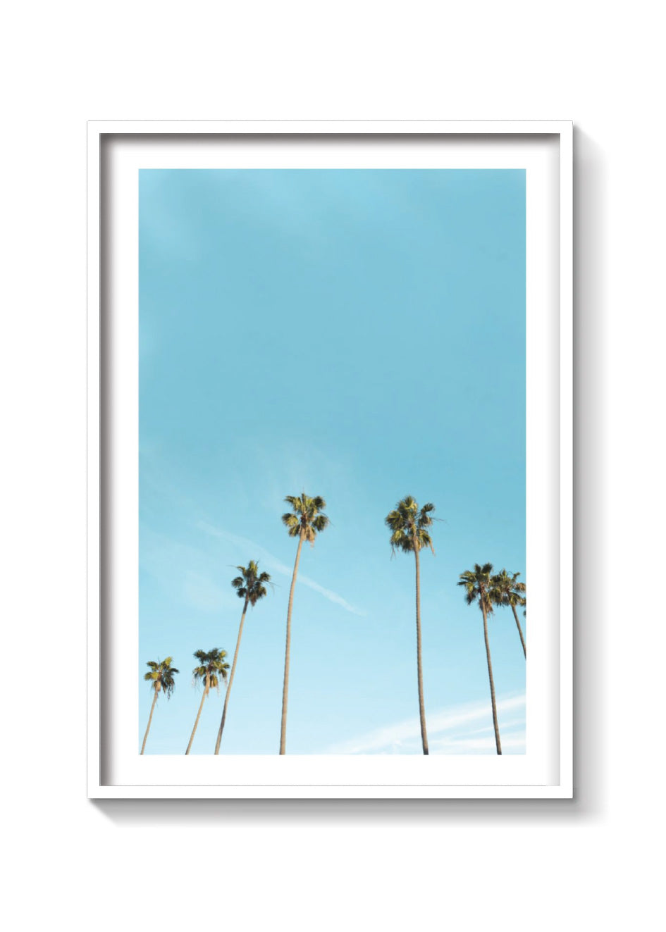 L.A PALMS