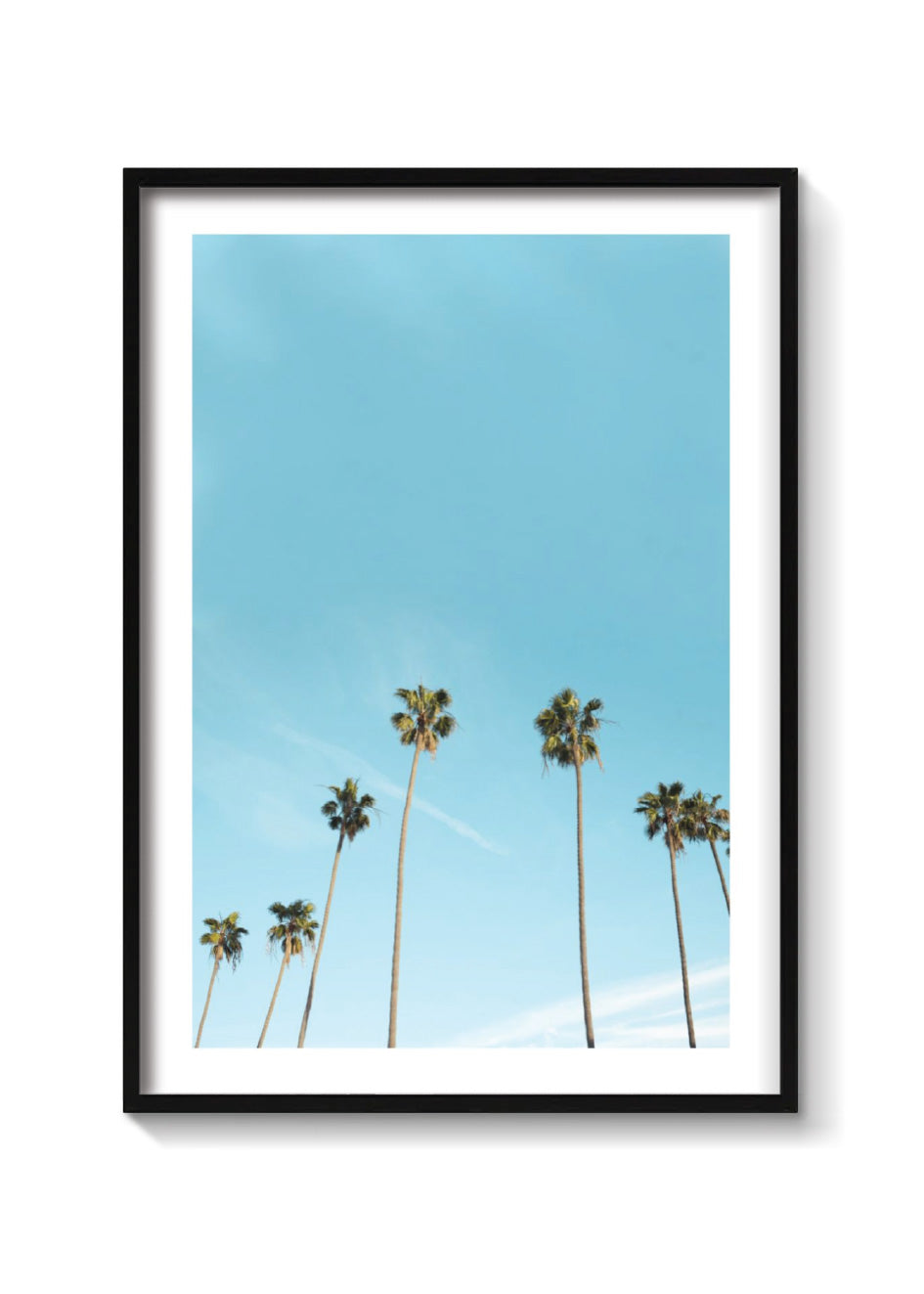L.A PALMS