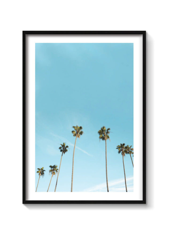 L.A PALMS