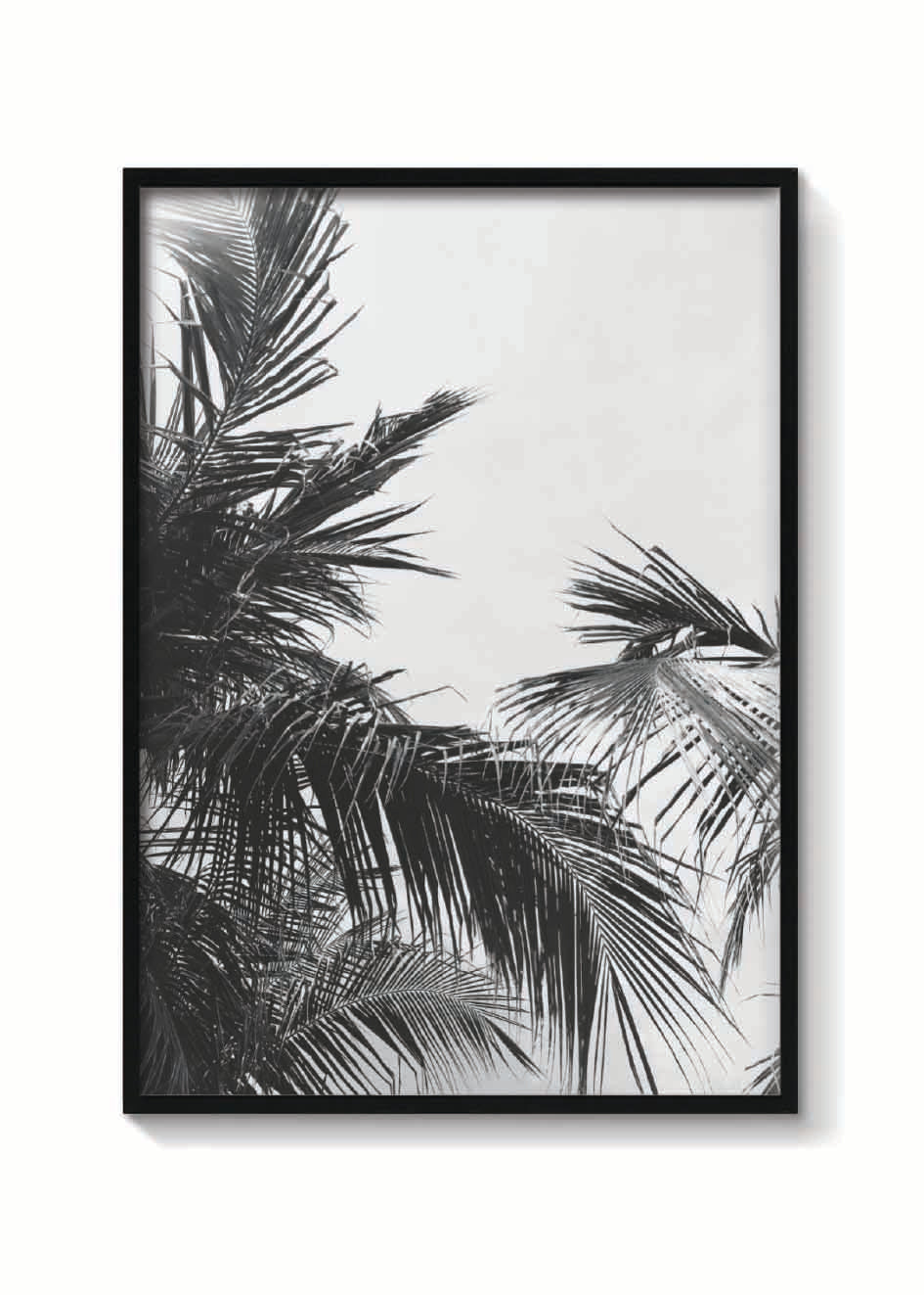 PALMS VINTAGE