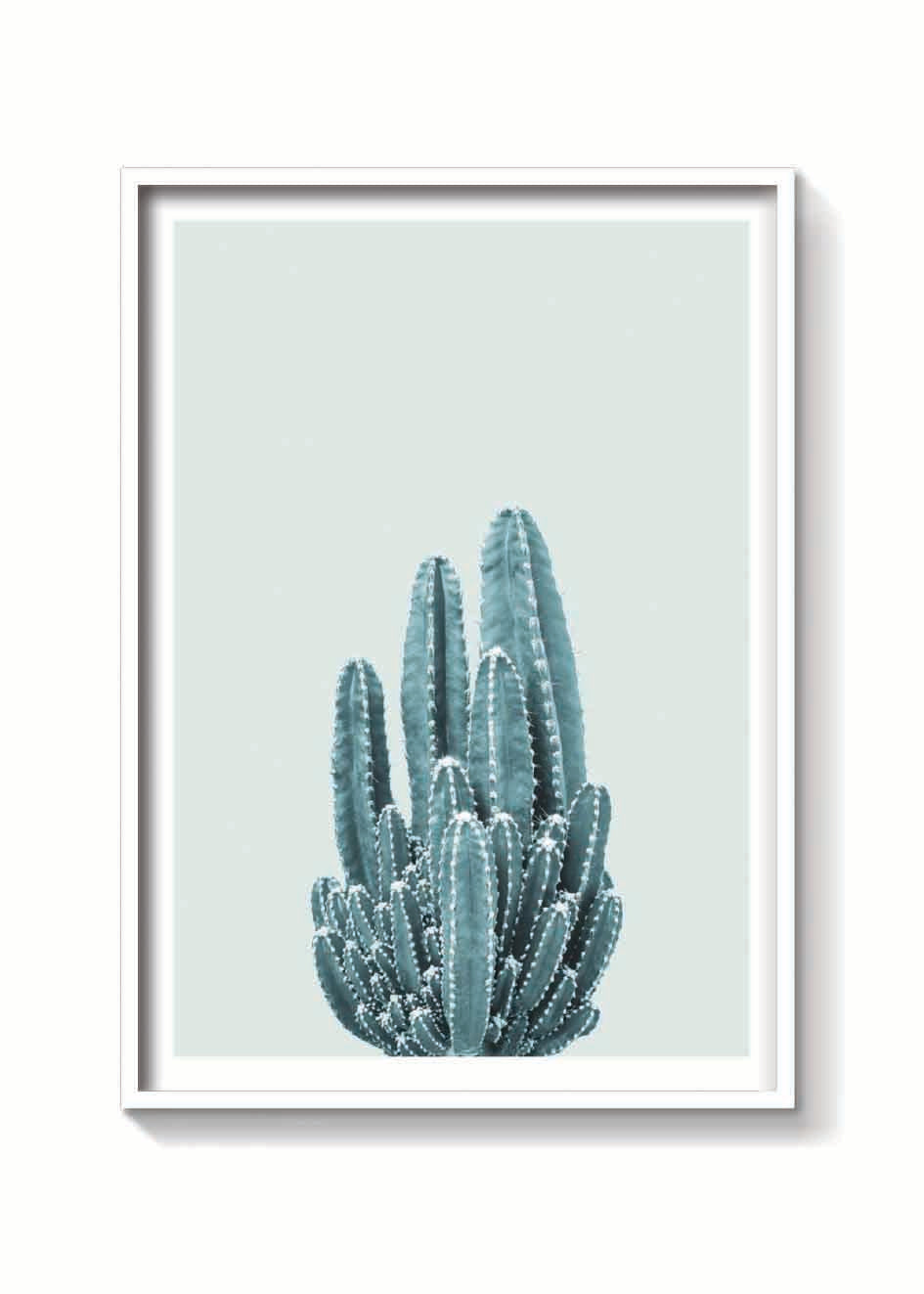 CACTUS VERDE