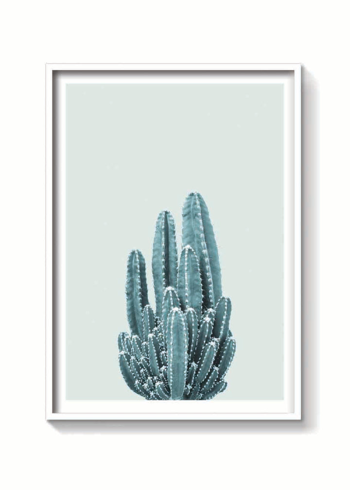 CACTUS VERDE