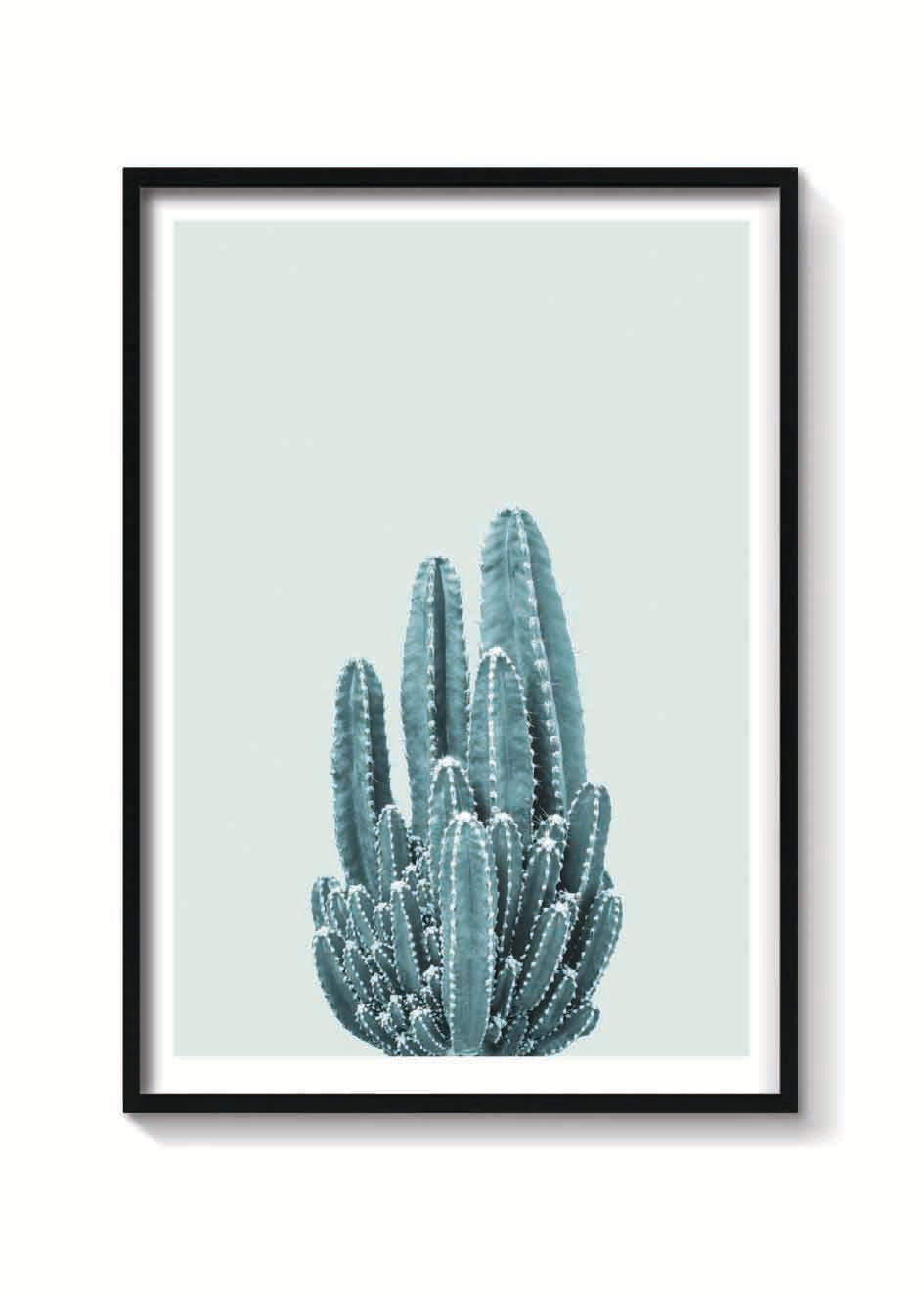 CACTUS VERDE