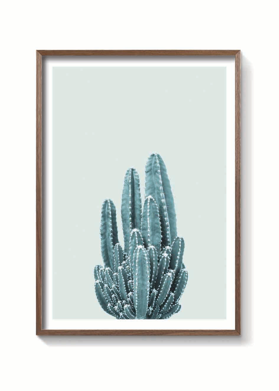 CACTUS VERDE