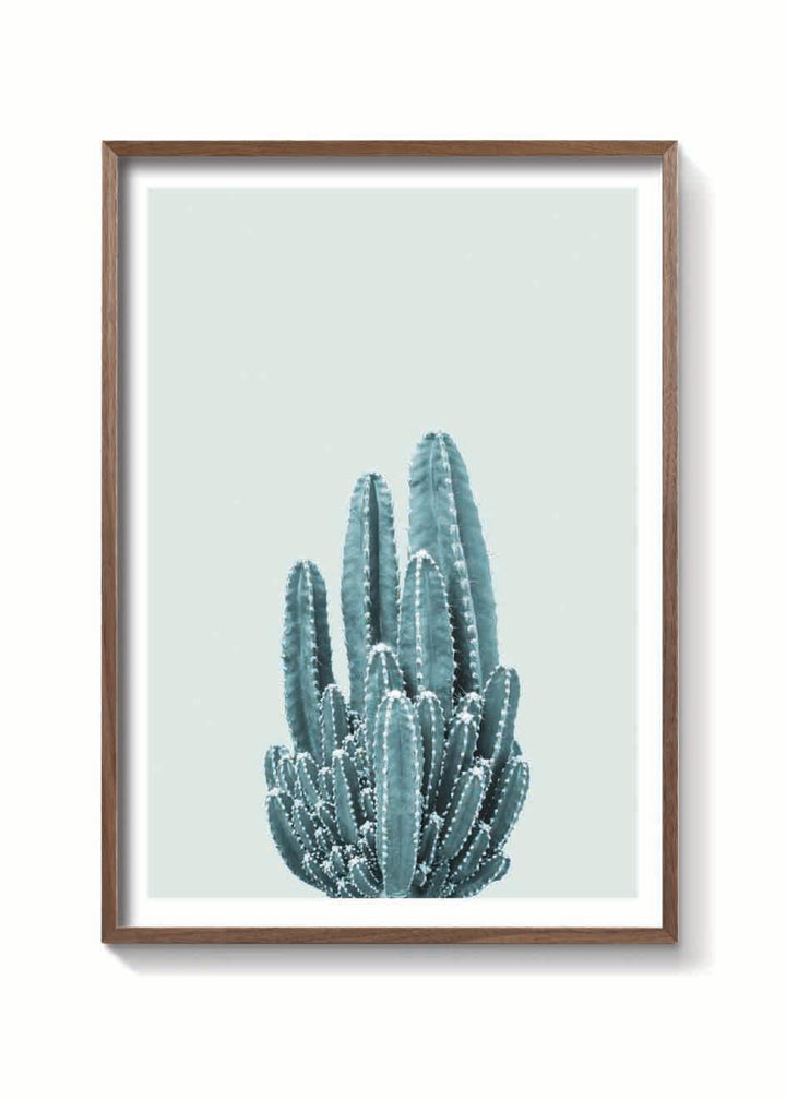 CACTUS VERDE