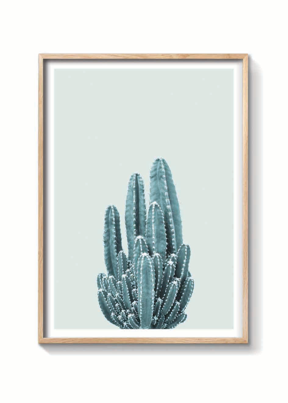 CACTUS VERDE