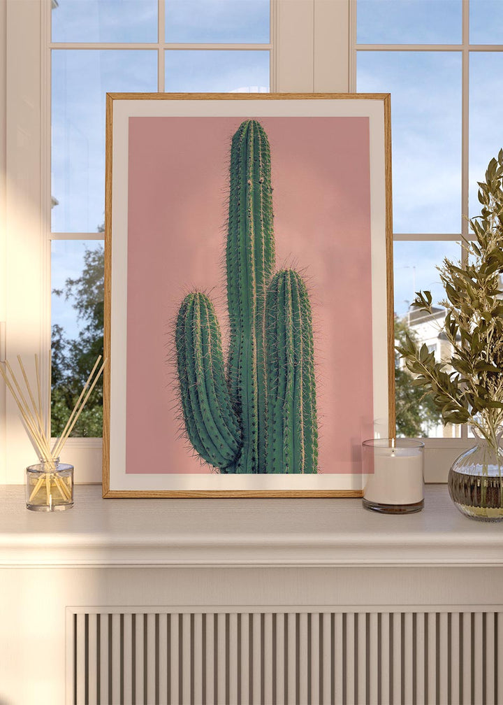 PINK CACTUS