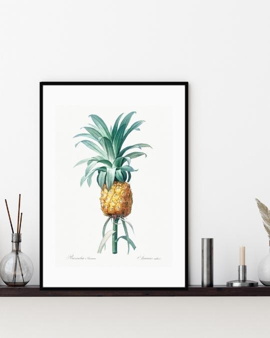 Cuadro-PINEAPPLE-Studio Malek